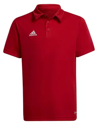 Produktbild von adidas Entrada 22 Poloshirt 116 TEPORE
