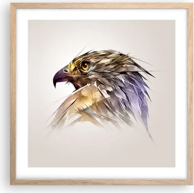 Produktbild von Gerahmtes Poster - Rahmen in heller Eiche - Adler Vogel Feder - 50x50 cm - Wand Bild - Wanddeko - Wandbilder - Wandposter - Bilderrahmen - Bilder - Kunstdruck - Wandbild - P2NAC50x50-3936