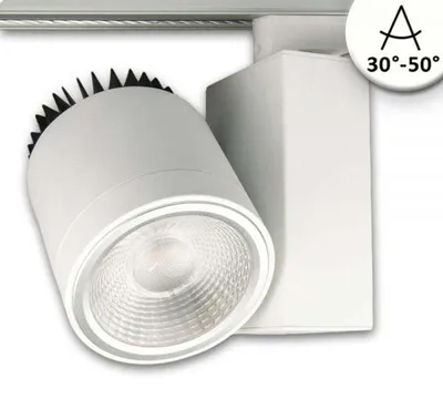 Zdjęcie produktu dla 3-fazowy reflektor szynowy z możliwością regulacji ostrości, 30 W, 30°-50°, biały matowy, 4000 K, z możliwością ściemniania