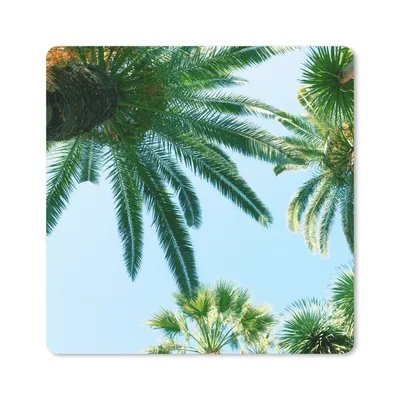 Produktbild von MuchoWow® Mauspad Mousepad Palmwedel - Himmel - Sommer - Tropisch 20x20 cm - Mousepads - Maus Mat - Pad - Mausunterlage - Desk Mat - Bureauartikeln