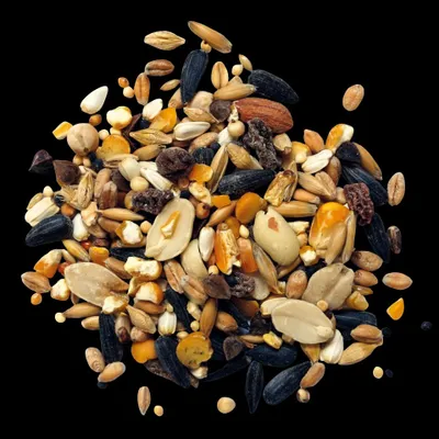 Produktbild von Fasanenfutter 25 kg mit Rosinen, Erdnüssen & Sonnenblumenkernen für Ziergeflügel