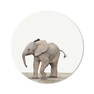 Produktbild von MuchoWow® Mauspad Mousepad Tiere - Grau - Elefant 30x30 cm - Mousepads - Maus Mat - Pad - Mausunterlage - Tischunterlage - Schreibtischmatten