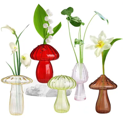 Imagen del producto de Juego de 5 jarrones de vidrio con forma de hongo, ideales para plantas hidropónicas