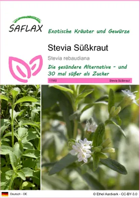 Produktbild von SAFLAX - Kräuter - Stevia Süßkraut - 100 Samen - Stevia rebaudiana