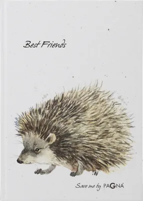Produktbild von PAGNA Freundebuch Igel 60Seiten
