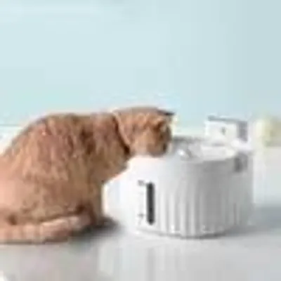 Produktbild von Katzenbrunnen Katzen Trinkbrunnen kabellos mit Sensor