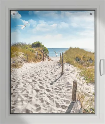 Produktbild von Wallario Lichtschutzbild, Dekorativer Sichtschutz Sonnenschutz 76 x 93 cm mit Motiv: Möwen auf dem Weg zum Strand - Verdunklung ohne Bohren