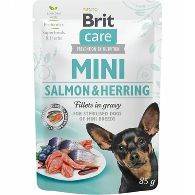 A pouch of dog food with an image of salmon and herring, blueberries, and a dog.