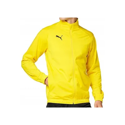 Obrázek produktu pro Puma Mikiny Liga Sideline Poly, 65594607, Größe: 176