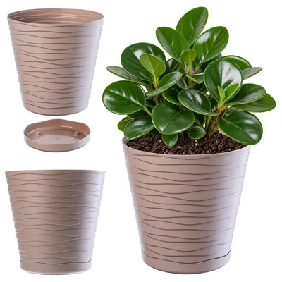 Immagine prodotto di KADAX vaso da fiori con piattino "Greve", vaso da fiori, vaso per piante in plastica, fioriera, rotondo, 17 cm, beige