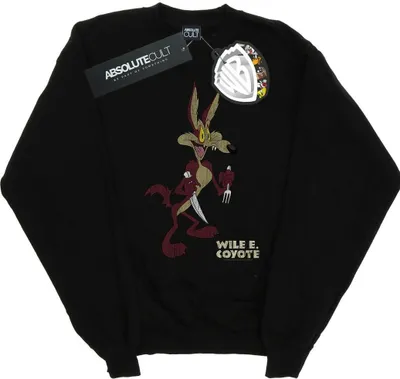Produktbild von Looney Tunes - Sweatshirt für Herren BI33160 (3XL) (Schwarz)