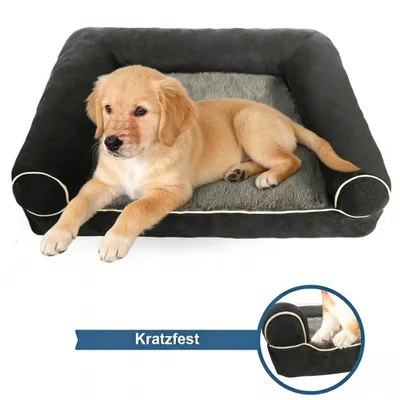 Immagine prodotto di Letto ortopedico per cani Divano per cani Posto letto per cani Letto per animali Domestici Dimensioni 75*50*14 cm
