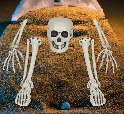 Produktbild von Skelett Knochen Set Halloween Feiertag Grusel Nachbildungation Schauriges Accessoire Nachbildung, Farbe: Weiß