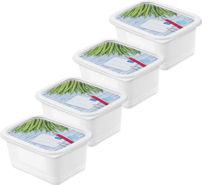 Produktbild von Rotho Set Gefrierdosen 4 tlg. 7552602120