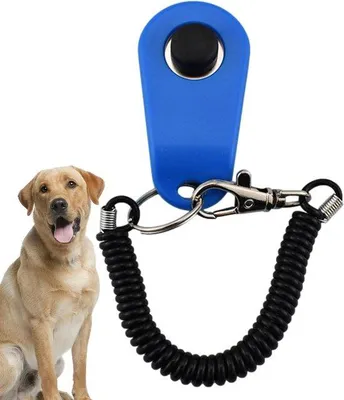 Produktbild von Famanu Clicker für Haustiere - Trainingstool aus ABS - Blau Schwarz