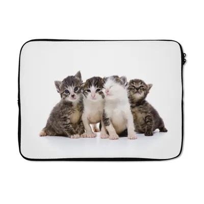 Produktbild von MuchoWow® Laptop Hülle 13 Zoll Katze - Haustiere - Fell - Porträt Laptoptasche - Laptophülle - Sleeve - Rundumschutz