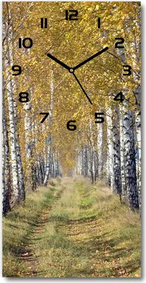 Produktbild von Wanduhr aus Glas – 30x60 cm - Glasbild - Glasuhr - Gehärtetes Glas -Birkenwald