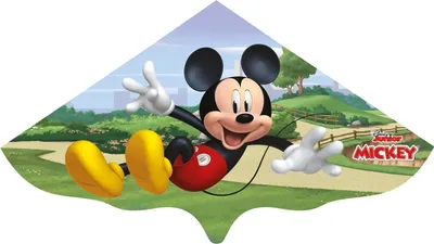 Produktbild von Mouse, Segel aus PE-Folie, Komplett mit Wickelgriff und Schnur