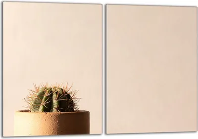 Obrázok produktu pre Sada krycích dosiek na sporák 2x40x52 cm sklokeramický kryt varnej dosky sklenený splashback, béžový kaktus
