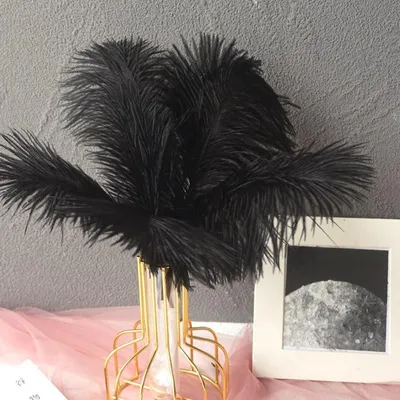 Image de Set de 15 décorations en plumes noires pour vases et décorations de fête