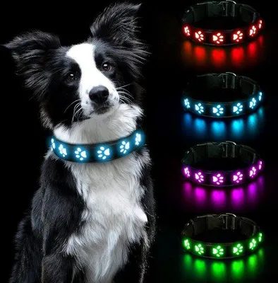 Obrázek produktu pro Uniqoos® LED obojek pro psy – svítící, vodotěsný, nabíjecí přes USB, nastavitelný, nylon/umělá kůže, velikost S (obvod 30–40 cm), modrá – pro bezpečnou viditelnost v noci