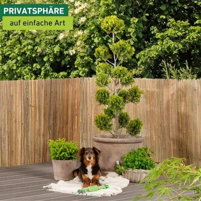 Produktbild von Windhager Bambus Sichtschutzmatte 1,5 m, robust für Balkon, Garten & Terrasse