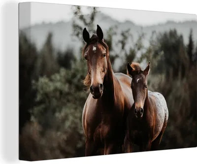 Produktbild von OneMillionCanvasses® - Leinwandbilder - 150x100 cm, Pferde - Wald - Berge, Wandbilder Kunstdruck Wanddekoration