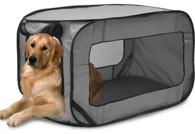 Image de Cage de transport pliable pour chien, idéale pour la sécurité et le confort en voiture
