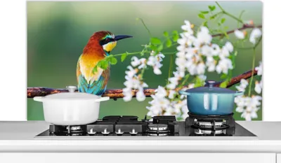Produktbild von KitchenYeah®  Spritzschutz Küche - Küchenrückwand - Wandschutz für Herd und Spüle - Vogel - Bienenfresser - Blumen 120x60 - Alu-Dibond (Alternative zum Spritzschutz aus Glas) - Hitzebeständig - Herdsp