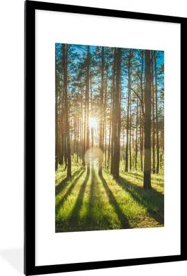 Produktbild von MuchoWow® Gerahmtes Poster Sonne - Bäume - Landschaft - Gras 60x90 cm - Poster mit Schwarzem Bilderrahmen Wandposter Rahmen Foto Bilder - Dekoration - Wandposter Wohnzimmer - Hochwertig