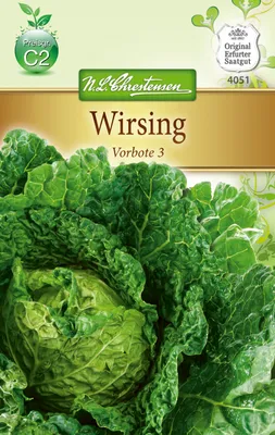 Produktbild von Wirsing Vorbote 3 | Wirsingsamen von N.L. Chrestensen