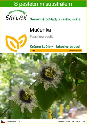 Obrázek produktu pro SAFLAX - mučenka - Passiflora edulis - 40 Semena - S pěstebním substrátem bez klíčků