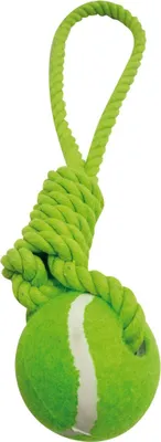 Image de Jouet Corde Et Balle De Tennis Pour Animaux