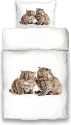 Produktbild von Schwanberg Bettwäsche Jimmy & Jimmy Animal Renforcé 135 cm x 200 cm