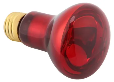 Image de Lampe chauffante infrarouge E27 pour reptiles et animaux de compagnie, ampoule, émetteur, chauffage nocturne, 110 V, 75 W