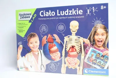Image de Clementoni Scientific Fun Corps humain 8+