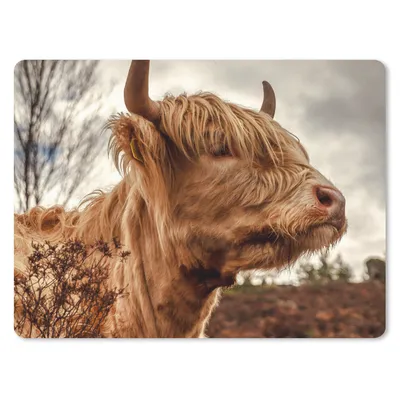 Produktbild von MuchoWow® Mauspad Mousepad Scottish Highlander - Strauch - Heidekraut 23x19 cm - Mousepads - Maus Mat - Pad - Mausunterlage - Schreibtischunterlage - Mauspad