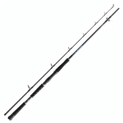 Produktbild von Daiwa Sealine Pilk 2,40m 40-100g Pilkrute Meeresrute Bootsrute
