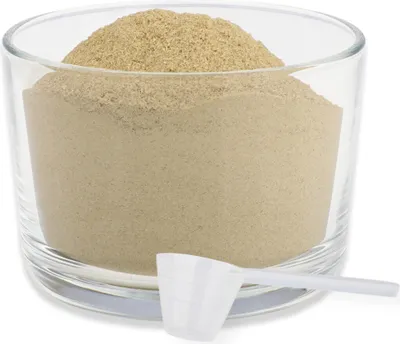 Produktbild von REAVET Grünlippmuschel Extrakt Pulver 1kg für Hunde & Pferde I Grünlippmuschelpulver Hund, Grünlippmuschelextrakt hochdosiert I nach behandelter Arthrose, Arthritis - Barf Futterzusatz