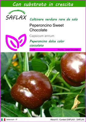 Immagine prodotto di SAFLAX - Peperoncino Sweet Chocolate - 10 semi - Con substrato - Capsicum