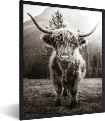 Produktbild von MuchoWow® Gerahmtes Poster Schottischer Highlander - Schwarz - Weiß - Tiere 60x80 cm - Poster mit Schwarzem Bilderrahmen Wandposter Rahmen Foto Bilder - Premium - Wanddeko Wohnzimmer