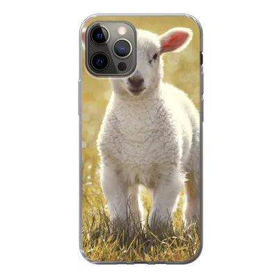 Produktbild von MuchoWow® Handyhülle Schutzhülle Hülle für iPhone 12 Pro Lamm - Gras - Sonne Silikon Softcase Handy Hülle - Abdeckung