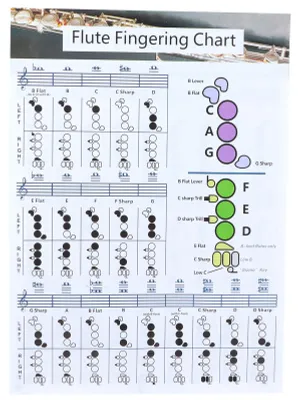 Zdjęcie produktu dla Flute Fingering Chord Chart Beginner Student Practice Teaching Aids Instrument AccessoriesL(56x40cm)
