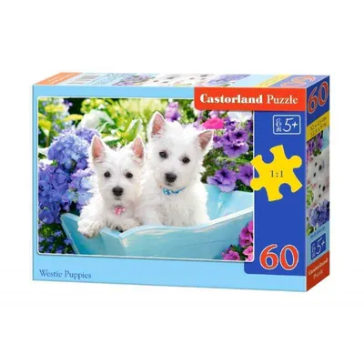 Immagine prodotto di Puzzle 60 pezzi Cuccioli 066100