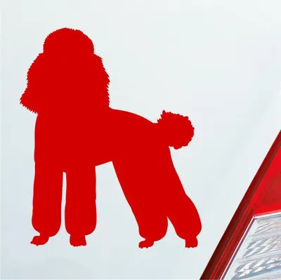 Produktbild von Auto Aufkleber süsser Pudel Hund Dog Tier niedlich Puppy 8x10 cm Rot Sticker Heckscheibenaufkleber