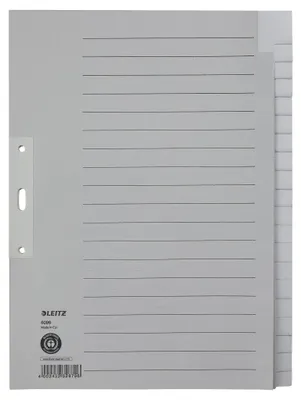 Produktbild von Leitz Register für A4, Deckblatt und 20 Trennblätter, Lochrand und Taben verstär