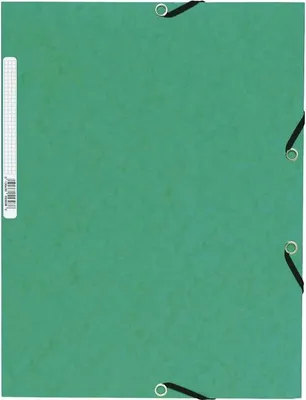 Immagine prodotto di Exacompta 55303E cartella Carta Verde A4