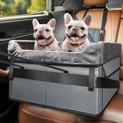 Produktbild von Hundeautositze für kleine Hunde