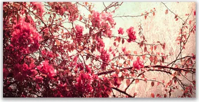 Produktbild von Acrylglasbilder 120x60 Wandbild Druck Zweige Blätter Natur