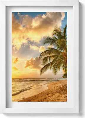 Produktbild von Palmen, Strand und Meer bei Sonnenuntergang– Wandbild mit Rahmen – Gerahmtes Bild  – Wanddekoration – 20x30 cm – Weiß